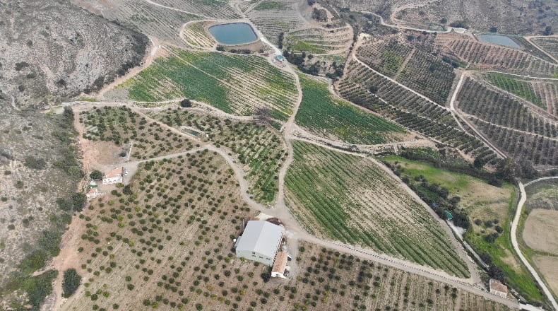 Málaga - Alhaurín de la Torre - 504500m2
