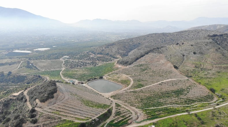 Málaga - Alhaurín de la Torre - 504500m2