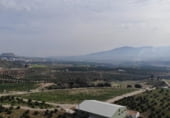 Земельный участок на продажу в городе Алаурин-де-ла-Торре Фото