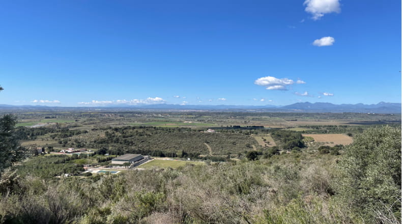 Gerona - Vilajuïga - 19455m2