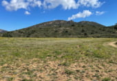 Non-developable land for sale on Mas Bartret, Vilajuïga, ref: TR102877 photo