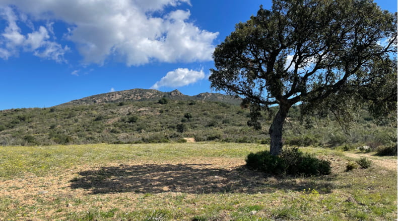 Gerona - Vilajuïga - 19455m2