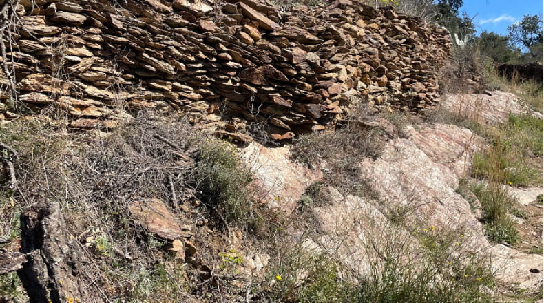 Gerona - Vilajuïga - 22535m2