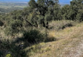 Земля на продажу у города Vilajuïga Фото