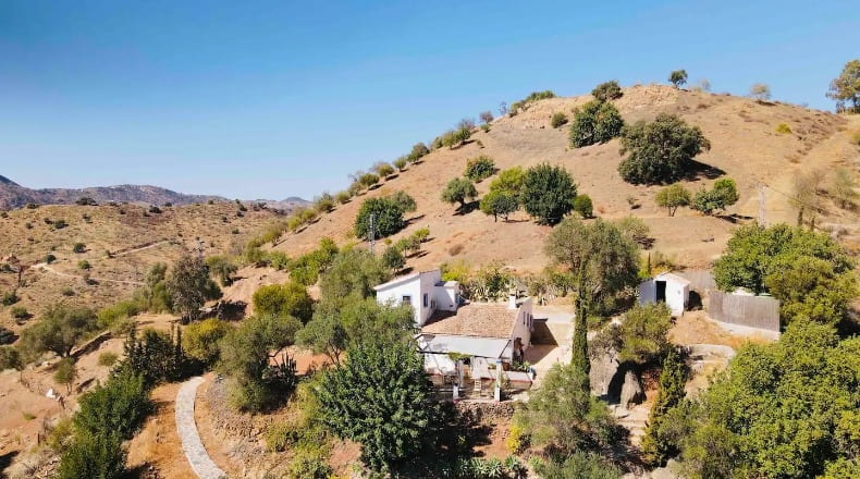 Málaga - Almogía - 5000m2