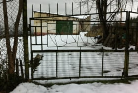 Foto 6