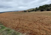 Terreno no urbanizable en venta en la carretera la Alberca del Záncara Carrascosa de Haro km 7, Las Pedroñeras, ref: TR102928 foto