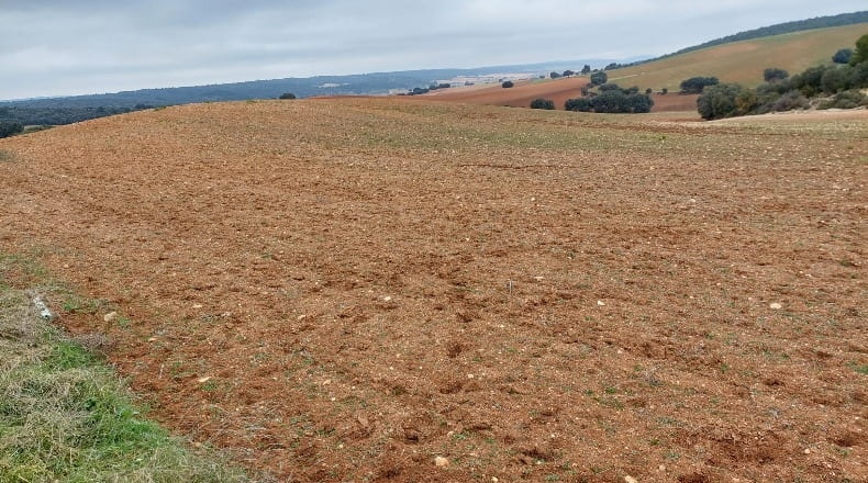 Cuenca - Las Pedroñeras - 47680m2
