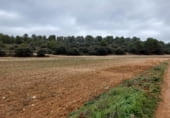 Terreno no urbanizable en venta en la carretera la Alberca del Záncara Carrascosa de Haro km 7, Las Pedroñeras, ref: TR102928 foto