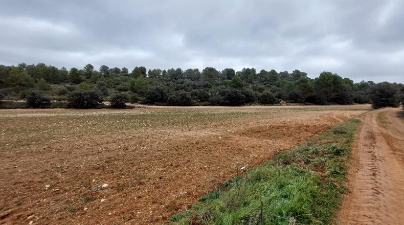 Cuenca - Las Pedroñeras - 47680m2