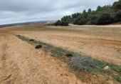 Terreno no urbanizable en venta en la carretera la Alberca del Záncara Carrascosa de Haro km 7, Las Pedroñeras, ref: TR102928 foto
