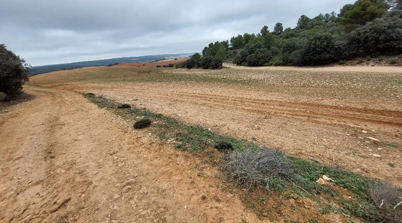 Cuenca - Las Pedroñeras - 47680m2