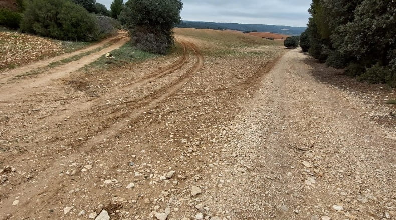 Cuenca - Las Pedroñeras - 47680m2