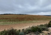 Terreno no urbanizable en venta en la carretera la Alberca del Záncara Carrascosa de Haro km 7, Las Pedroñeras, ref: TR102928 foto
