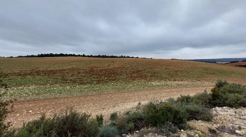Cuenca - Las Pedroñeras - 47680m2