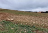 Terreno no urbanizable en venta en la carretera la Alberca del Záncara Carrascosa de Haro km 7, Las Pedroñeras, ref: TR102928 foto