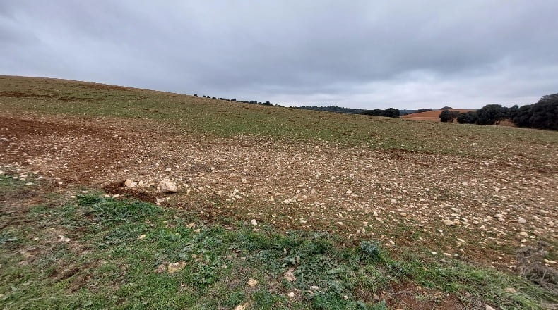 Cuenca - Las Pedroñeras - 47680m2