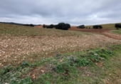 Terreno no urbanizable en venta en la carretera la Alberca del Záncara Carrascosa de Haro km 7, Las Pedroñeras, ref: TR102928 foto