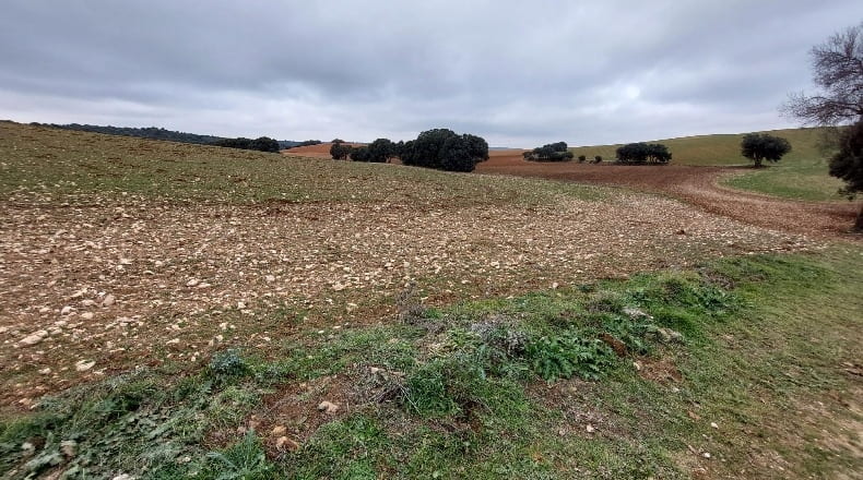 Cuenca - Las Pedroñeras - 47680m2