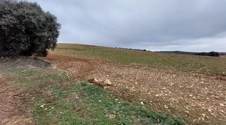 Cuenca - Las Pedroñeras - 47680m2
