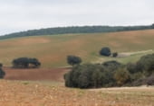 Terreno no urbanizable en venta en la carretera la Alberca del Záncara Carrascosa de Haro km 7, Las Pedroñeras, ref: TR102928 foto