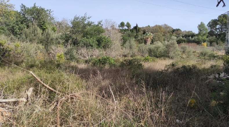 Tarragona - Xerta - 8400m2