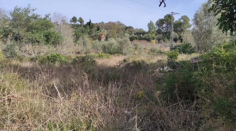 Tarragona - Xerta - 8400m2