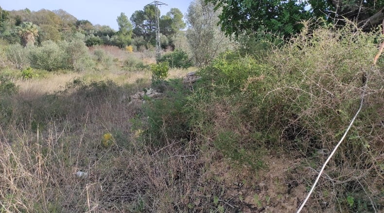 Tarragona - Xerta - 8400m2