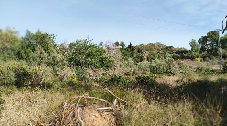 Tarragona - Xerta - 8400m2
