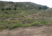 Terreno no urbanizable en venta en la Avenida Constitución, Cenes de la Vega, ref: TR103184 foto