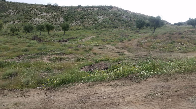 Granada - Cenes de la Vega - 148220m2