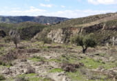 Terreno no urbanizable en venta en la Avenida Constitución, Cenes de la Vega, ref: TR103184 foto