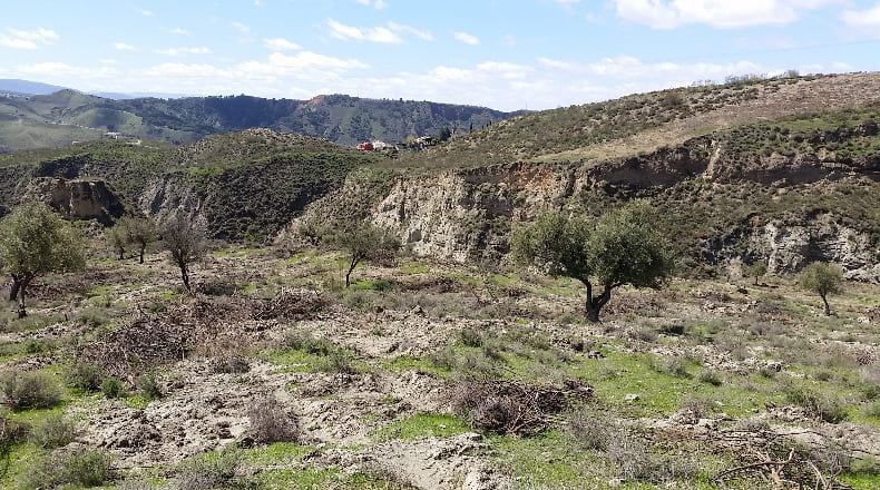 Granada - Cenes de la Vega - 148220m2