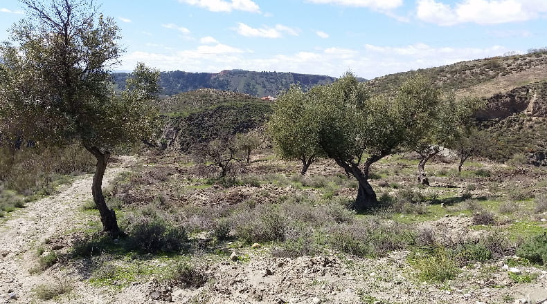 Granada - Cenes de la Vega - 148220m2