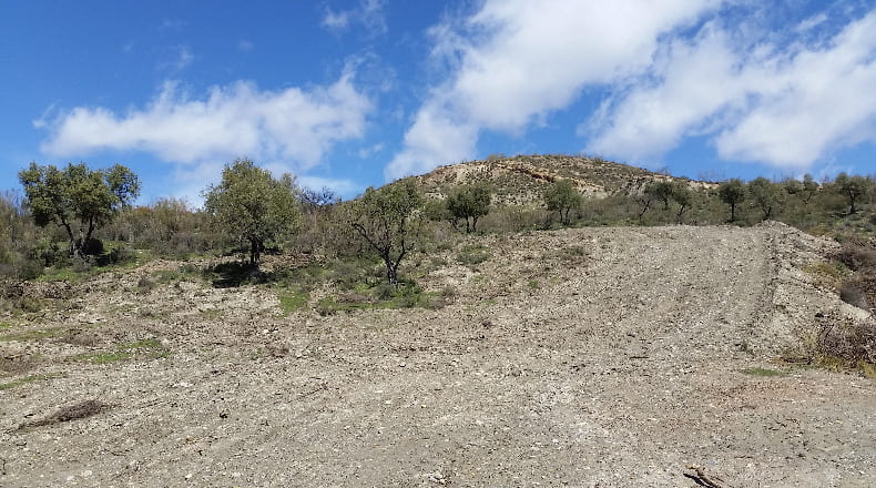 Granada - Cenes de la Vega - 148220m2
