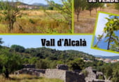 Land with storage building for sale on Poligono 2 Parcela 120. La Rambla, Alcalà de la Jovada, ref: TR103180 photo