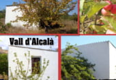Land with storage building for sale on Poligono 2 Parcela 120. La Rambla, Alcalà de la Jovada, ref: TR103180 photo
