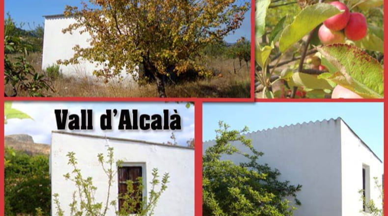 Alicante - Alcalá de la Jovada - 5646m2