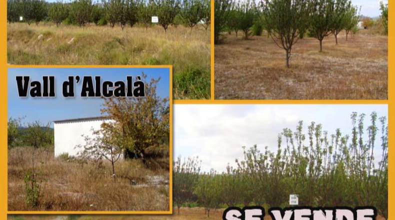 Alicante - Alcalá de la Jovada - 5646m2