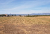 Parcel·la urbanitzable en venda a la TV-3103, Vinyols i els Arcs, ref.: TR103192 foto
