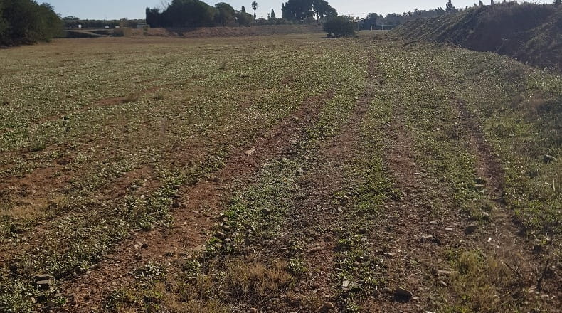 Tarragona - Vinyols i els Arcs - 60000m2