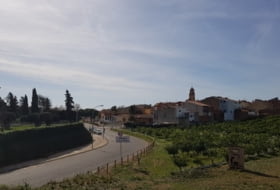 Foto 15