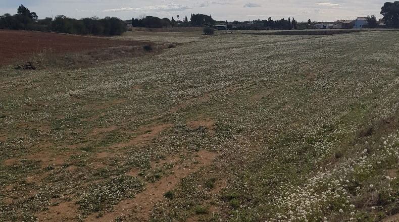 Tarragona - Vinyols i els Arcs - 60000m2