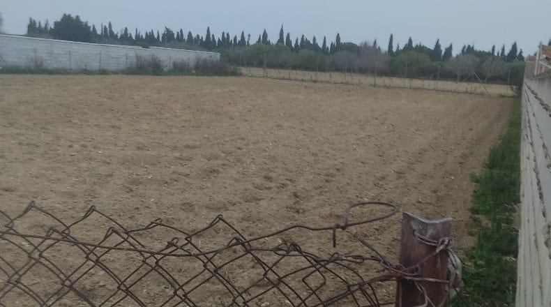 Cadiz - Chiclana de la Frontera - 1282m2