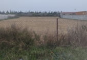 Terreny no urbanitzable en venda a la Camino de Napoles, Chiclana de la Frontera, ref.: TR103193 foto