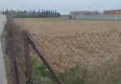 Terreny no urbanitzable en venda a la Camino de Napoles, Chiclana de la Frontera, ref.: TR103193 foto