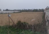 Terreny no urbanitzable en venda a la Camino de Napoles, Chiclana de la Frontera, ref.: TR103193 foto