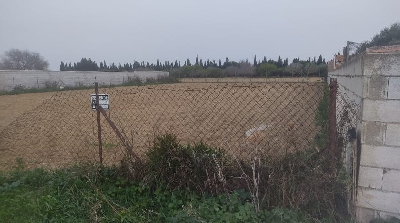 Cadiz - Chiclana de la Frontera - 1282m2