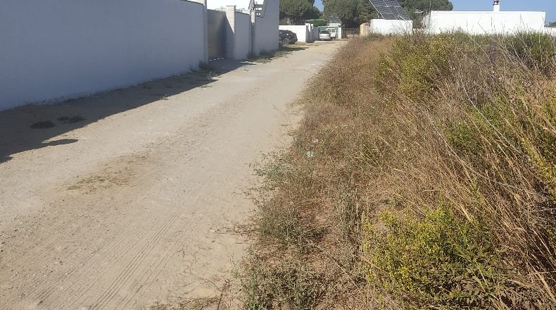 Cadiz - Chiclana de la Frontera - 1282m2