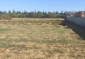 Terreny no urbanitzable en venda a la Camino de Napoles, Chiclana de la Frontera, ref.: TR103193 foto